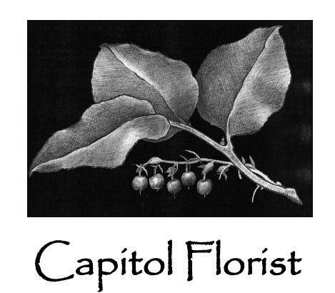 12-Capitol Florists